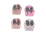 ASORTI