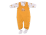Sarı