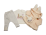 Nar Çiçeği