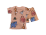 Kahverengi