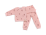 Pudra 