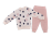 Pudra 