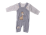 Gri